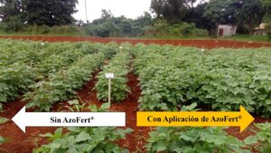 0120 biofertilizantes4