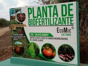 0123 planta biofertilizantes1