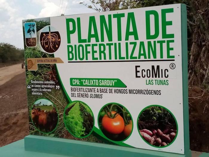 0123 planta biofertilizantes1