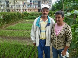 Tu Pedacito Serranos1