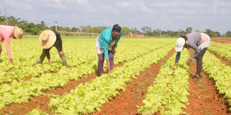 finca santa ana 750x375 1