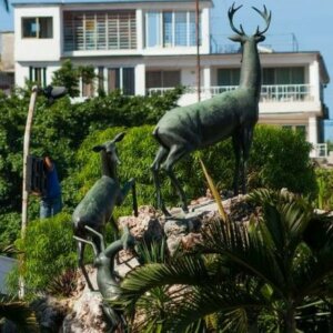 Actualización a la población sobre el evento de Influenza aviar en el jardín zoológico de La Habana.