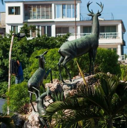 Actualización a la población sobre el evento de Influenza aviar en el jardín zoológico de La Habana.