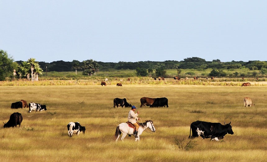 La producción de leche no empieza por la yerba