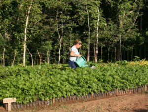 Colectivos laborales, medida vital y perfectible en Flora y Fauna