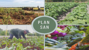 0 06 plan san 1