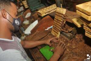 Contará Las Tunas con casas para el tabaco