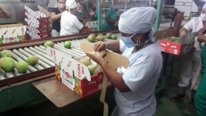 Potenciarán con nuevos productos el comercio exterior de Cumanayagua