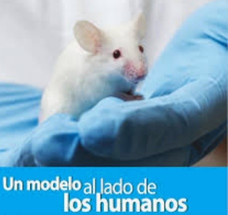 ¿Cómo garantizar el bienestar de los animales empleados en experimentación?
