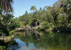 En un área de 27 kilómetros se ubica el proyecto Rocío del Sol, que entre sus atracciones naturales cuenta con aguas cristalinas y un alto porcentaje de endemismo de su flora y fauna / Fotos: Jaliosky Ajete Rabeiro