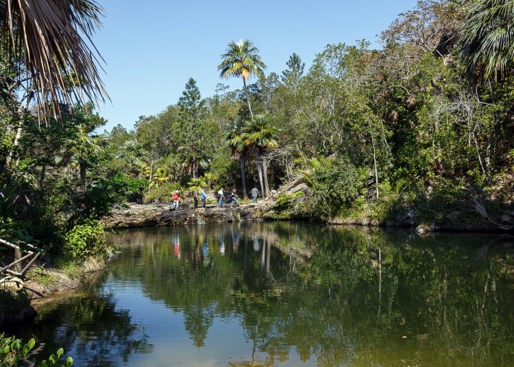 En un área de 27 kilómetros se ubica el proyecto Rocío del Sol, que entre sus atracciones naturales cuenta con aguas cristalinas y un alto porcentaje de endemismo de su flora y fauna / Fotos: Jaliosky Ajete Rabeiro
