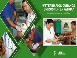 Día del trabajador de la Medicina veterinaria en Cuba Día del trabajador de la Medicina veterinaria en Cuba
