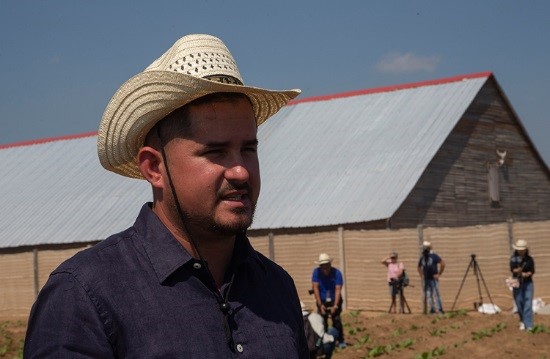 Reinel Rojas: Exitoso cultivo de tabaco tapado en La Coloma, Pinar del Río