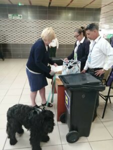 Solo se consideran mascotas y se autorizan a viajar como tal a perros y gatos.