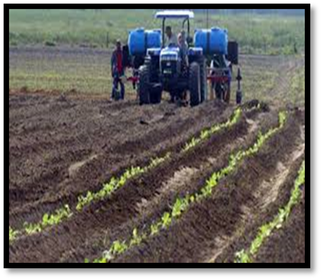 TRASPLANTADORA SPAPPERI TRACTOR NEW HOLLAN 1117 1