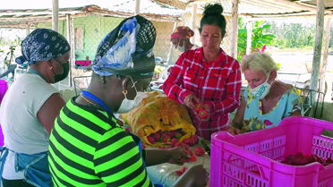 Leidy supervisa cada una de las actividades que se realizan en su finca / Foto: Pedro Lázaro Rodríguez Gil