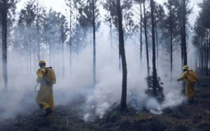 Alertan sobre condiciones favorables para la ocurrencia de incendios forestales en Villa Clara