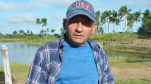 0 14 huevos isla 1 1