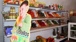 MUEB Comercializadora de Ceballos UEB Comercializadora de Ceballos