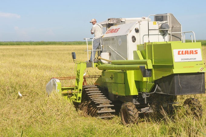 Alistan combinadas en Empresa Fernando Echenique para iniciar la recolección en plantaciones arroceras / FOTO Luis Carlos Palacios