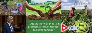 Sin titulo 2