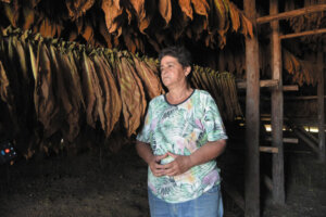 11 31 Nilda pretende entregarse al tabaco hasta que las fuerzas le alcancen Fotos/ Januar Valdés Barrios