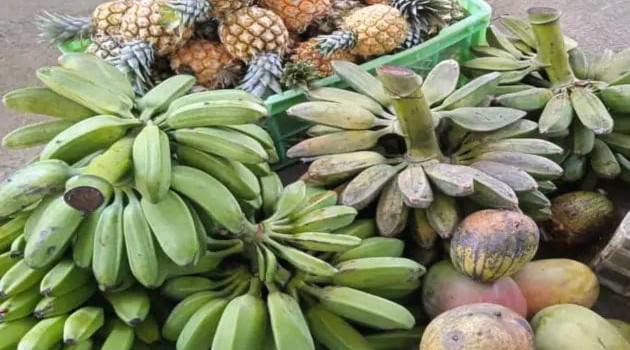 Donan frutas y viandas al Hogar Materno del municipio campesinos abreuenses.