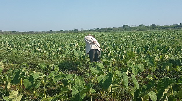 Los productores agropecuarios son comúnmente afectados por los problemas de la contratación económica. La contratación económica s