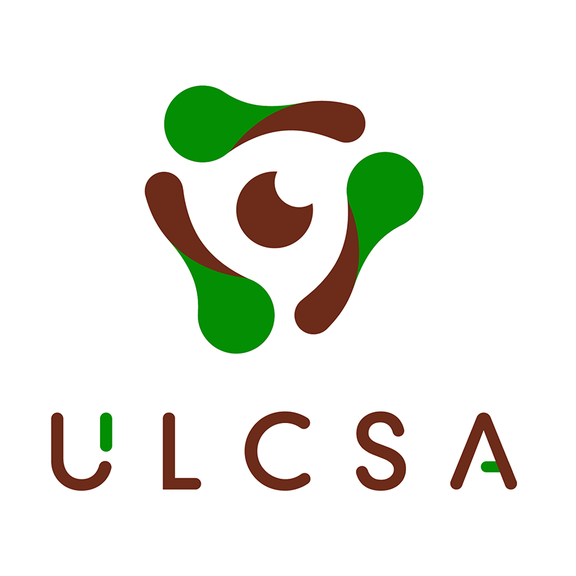 0804 ulcsa