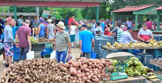 La nueva metodología posee un criterio inclusivo para todos los actores económicos. (Foto: Vicente Brito / Escambray)