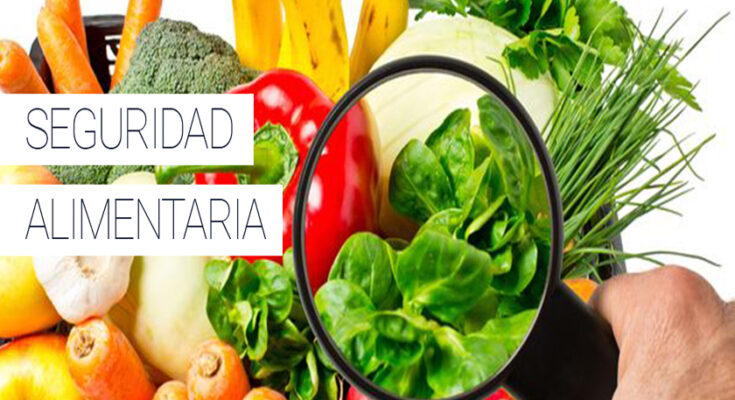 seguridad alimentaria 1 735x400 1
