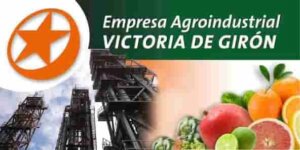 Empresa de citricos 1 1 1