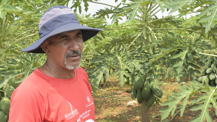 Marcial Pérez Cruz sostiene que el conocimiento y el amor son imprescindibles para tener resultados satisfactorios en la producción agrícola / Foto de Pedro Paredes Hernández