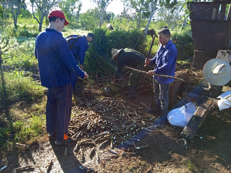 trabajo voluntario1