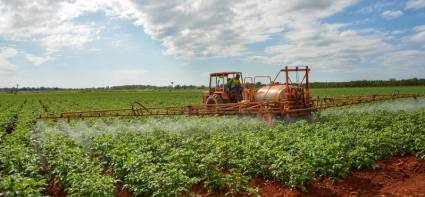 Como se dijo en la más reciente reunión del Consejo de Ministros, urge buscar esos resortes que puedan estimular la producción de alimentos. Autor: Roberto Suárez Publicado: 30/10/2023 | 11:19 pm
