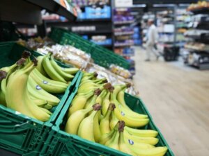 Platanos