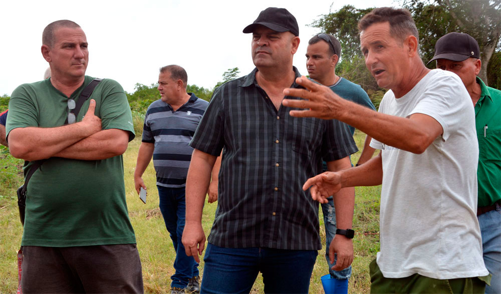 El campesino Sosa Jaramillo, a la derecha, indicó que, a pesar de la falta de insumos y el costo de la fuerza de trabajo, los resultados productivos pueden aumentar. (Foto: Arelys María Eschevarría Rodríguez)