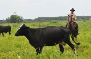 f0399907