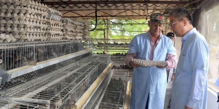 En su visita a Artemisa, el embajador Chino mostró interés en el desarrollo de proyectos agrícolas / Foto: Otoniel Márquez Beltrán