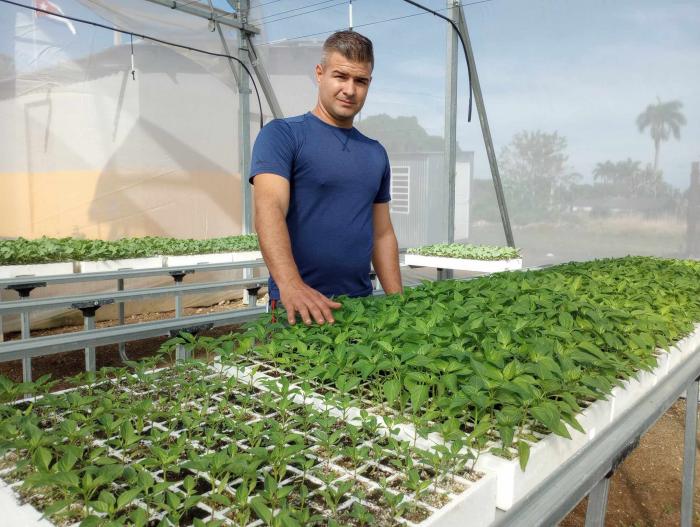 Handy impulsa un proyecto para fomentar un vivero de plantas melíferas, con el cual contribuirá a obtener mejores producciones de miel y sus derivados. Foto: Freddy Pérez Cabrera