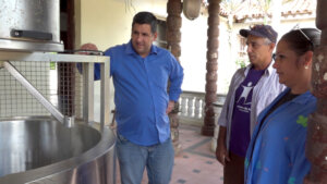 Incrementar las siembras y con el escalonamiento que garantice la estabilidad es prioridad en el área de desarrollo agrícola La vigía / Foto: Pedro Paredes Hernández Incrementar las siembras y con el escalonamiento que garantice la estabilidad es prioridad en el área de desarrollo agrícola La vigía / Foto: Pedro Paredes Hernández