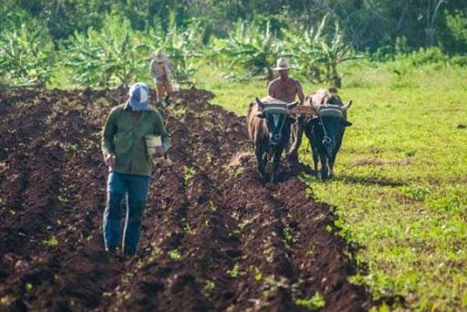 Foto: Cubadebate