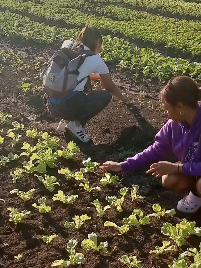 La producción local de alimentos es una prioridad del país Foto: Luis Alberto Portuondo