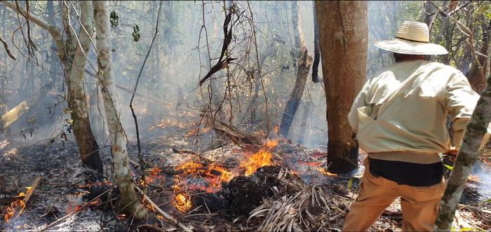 En la provincia se estiman de 83 a 111 incendios para los próximos dos meses, con afectaciones superiores a las 1 500 hectáreas. Foto: Lázaro Boza Boza