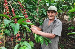 Martínez Fleites: “¿El secreto del café? El hombre. Si el hombre sirve, la tierra también”. (Fotos: José Lázaro Peña/Escambray). Martínez Fleites: “¿El secreto del café? El hombre. Si el hombre sirve, la tierra también”. (Fotos: José Lázaro Peña/Escambray).