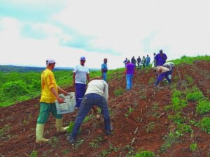 La preparación de nuevas tierras permite el crecimiento sostenido de los cultivos. Foto: Armando Sáez La preparación de nuevas tierras permite el crecimiento sostenido de los cultivos. Foto: Armando Sáez