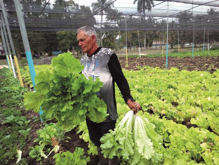 De muchos campesinos como Ruperto necesita la agricultura cubana Foto Freddy Perez Cabrera