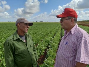 Cuando José Alberto (a la derecha) habla, los guajiros del campo, parte de su familia grande, saben escuchar. foto del autor Cuando José Alberto (a la derecha) habla, los guajiros del campo, parte de su familia grande, saben escuchar. Foto: Ortelio González Martínez