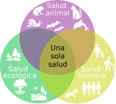 Una Sola Salud