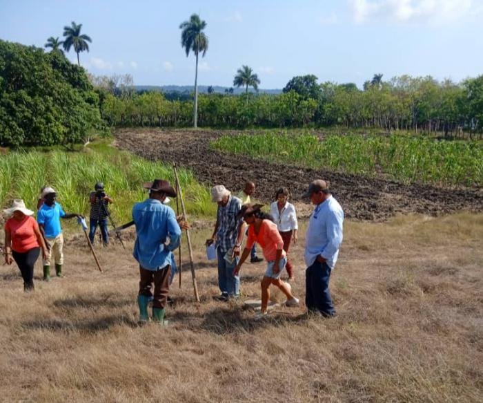 Foto: Cortesía Asociación Cubana de Producción Animal